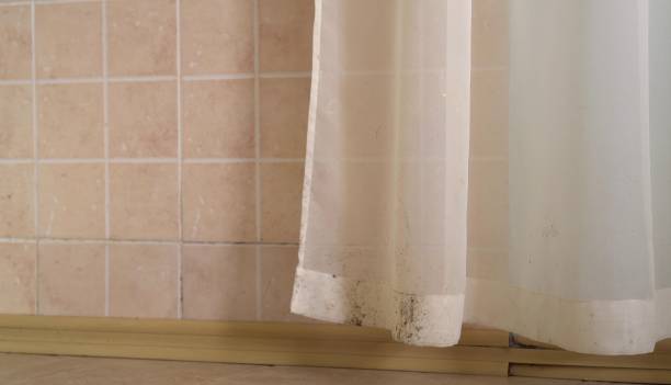 Best Commercial Mold Inspection  in Ankeny, IA