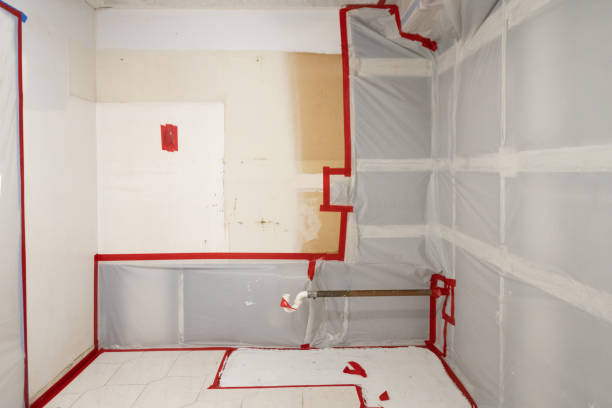Best Mold Removal for HVAC Installations  in Ankeny, IA