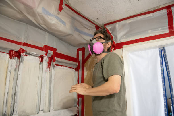 Best Environmental Consulting for Mold Prevention  in Ankeny, IA
